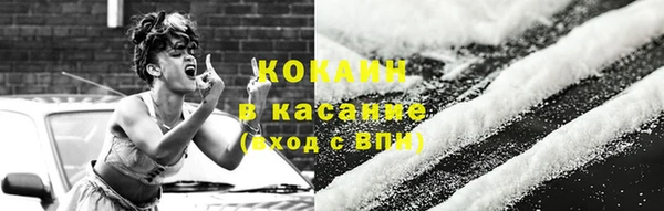 тгк Бикин